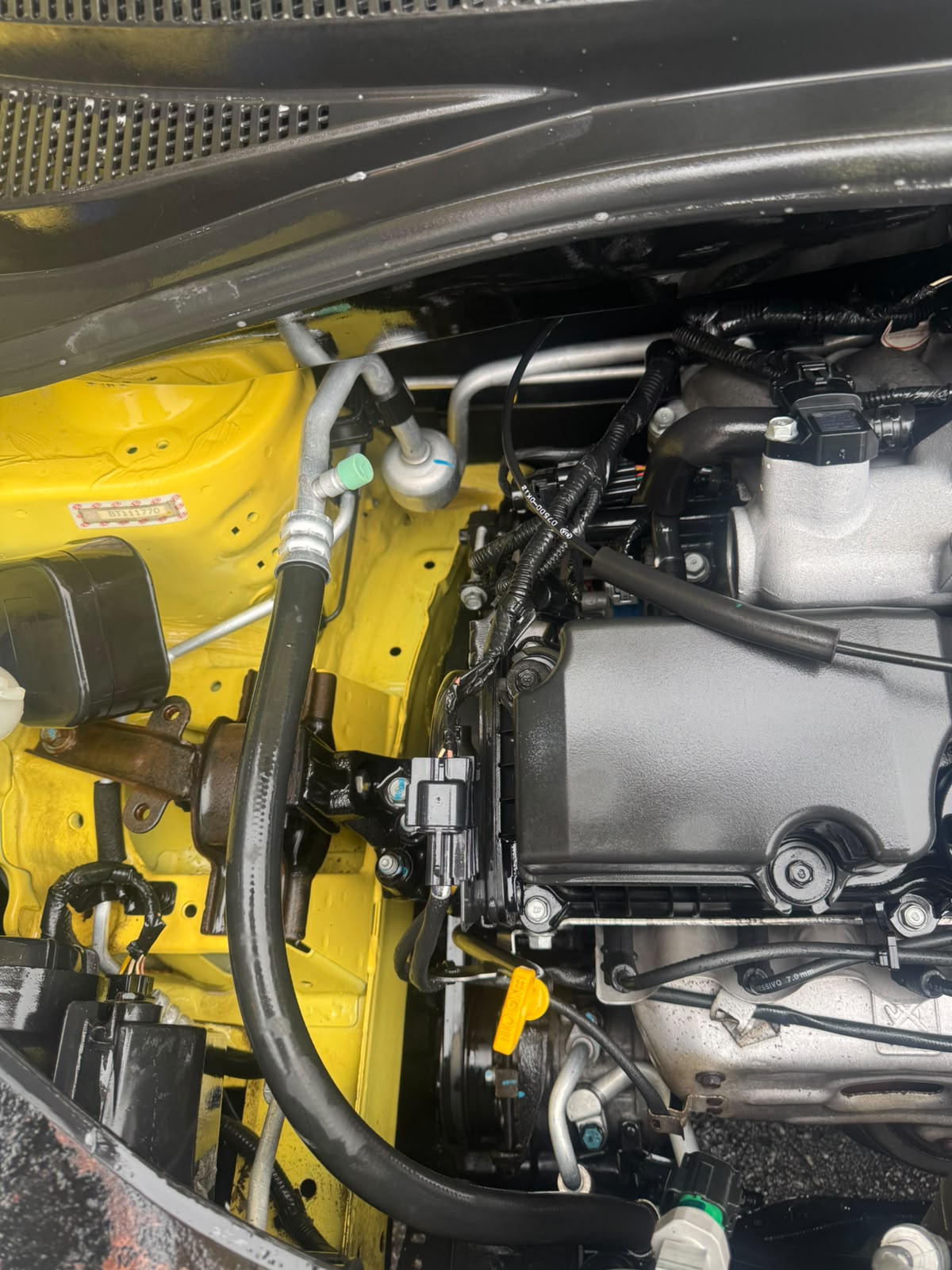 Motor limpo e revisado após o procedimento